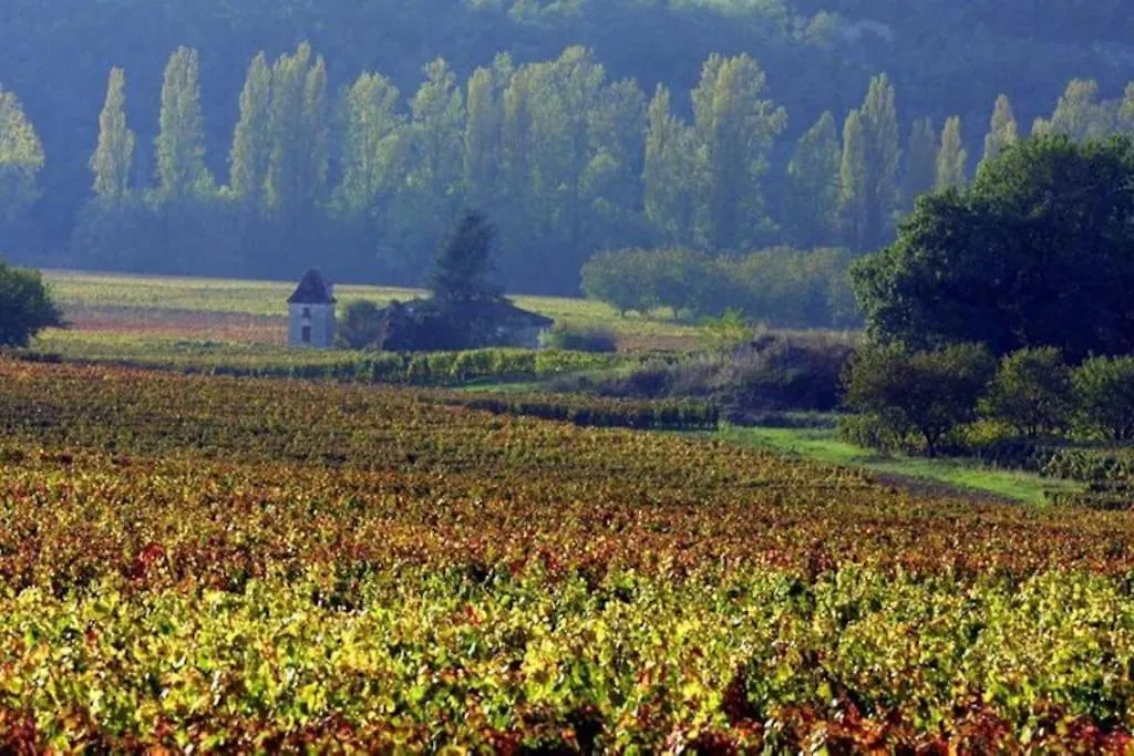 Des Chateaux Entre Les Feuilles - Parc Vue Village Puy-lʼÉvêque