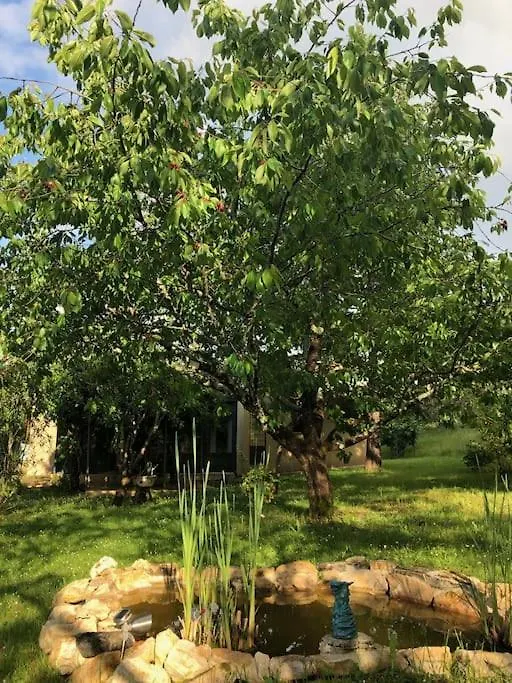 Des Chateaux Entre Les Feuilles - Parc Vue Village Puy-lʼÉvêque 0*,  Francia